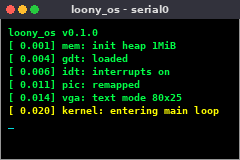 loony_os preview